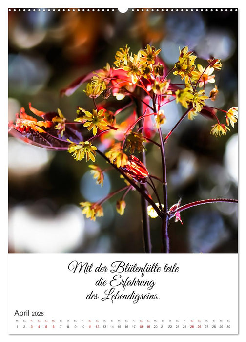 Die Erfahrung des Lebendigseins (CALVENDO Wandkalender 2026)