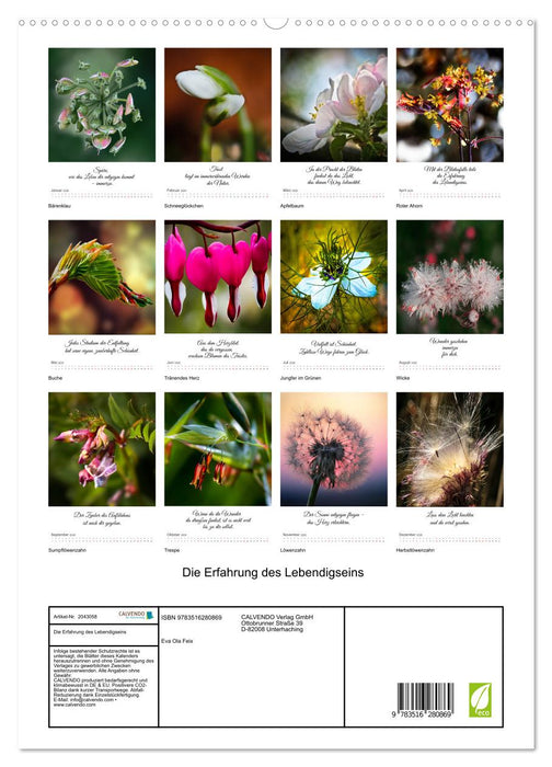 Die Erfahrung des Lebendigseins (CALVENDO Premium Wandkalender 2026)