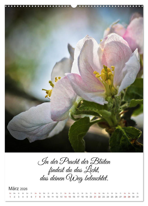 Die Erfahrung des Lebendigseins (CALVENDO Premium Wandkalender 2026)