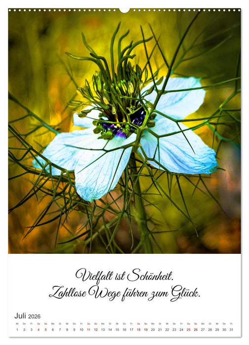 Die Erfahrung des Lebendigseins (CALVENDO Premium Wandkalender 2026)