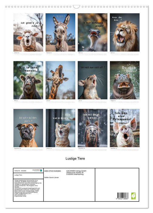 Lustige Tiere (CALVENDO Wandkalender 2026)