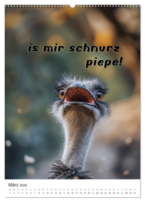 Lustige Tiere (CALVENDO Premium Wandkalender 2026)