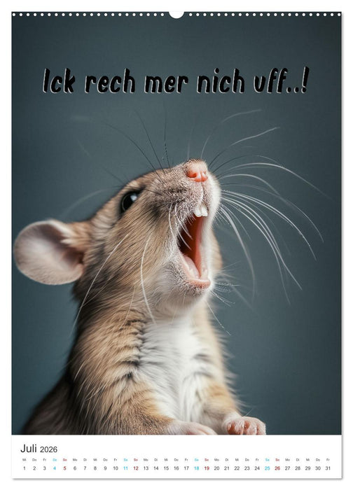 Lustige Tiere (CALVENDO Premium Wandkalender 2026)