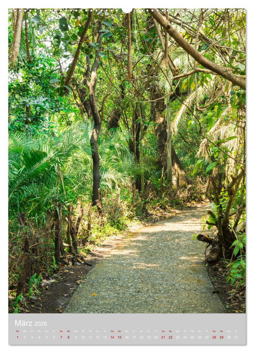 Gigantische Victoria Falls (CALVENDO Premium Wandkalender 2026)
