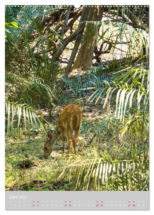 Gigantische Victoria Falls (CALVENDO Premium Wandkalender 2026)