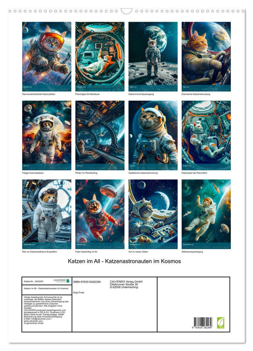 Katzen im All - Katzenastronauten im Kosmos (CALVENDO Wandkalender 2026)