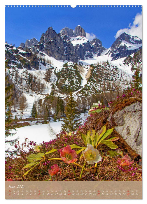 Ein Herz für Filzmoos (CALVENDO Wandkalender 2026)