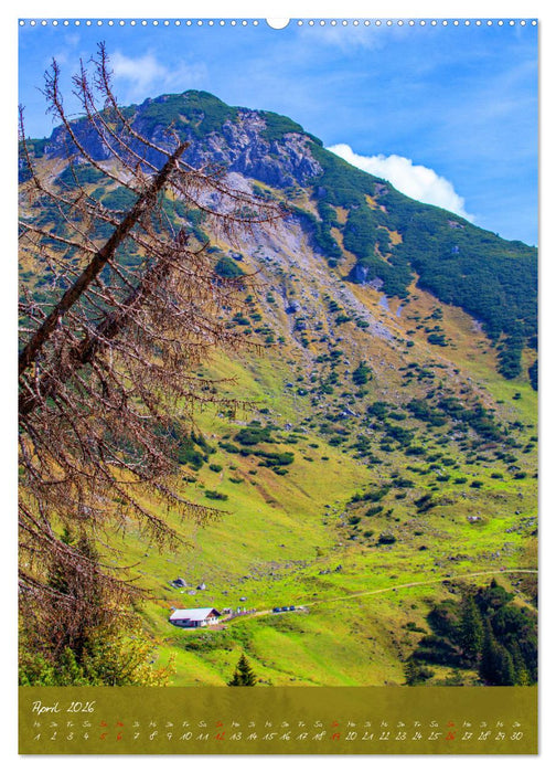 Ein Herz für Filzmoos (CALVENDO Wandkalender 2026)