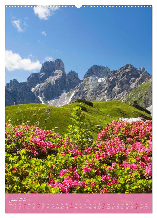 Ein Herz für Filzmoos (CALVENDO Wandkalender 2026)