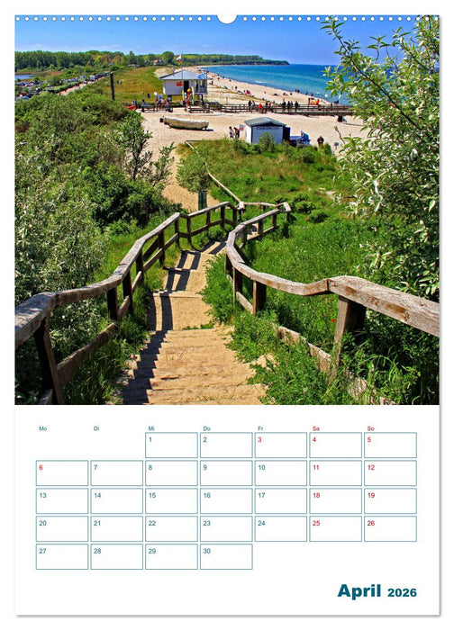 Ostseebad Rerik - Terminplaner (CALVENDO Wandkalender 2026)