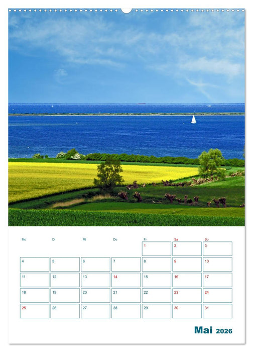 Ostseebad Rerik - Terminplaner (CALVENDO Wandkalender 2026)
