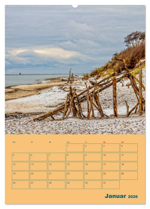 Fischland-Darß-Zingst Terminplaner (CALVENDO Wandkalender 2026)