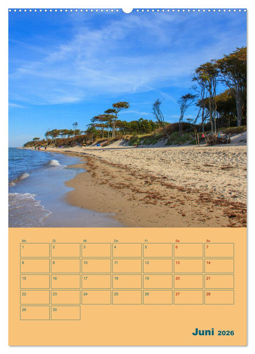 Fischland-Darß-Zingst Terminplaner (CALVENDO Wandkalender 2026)