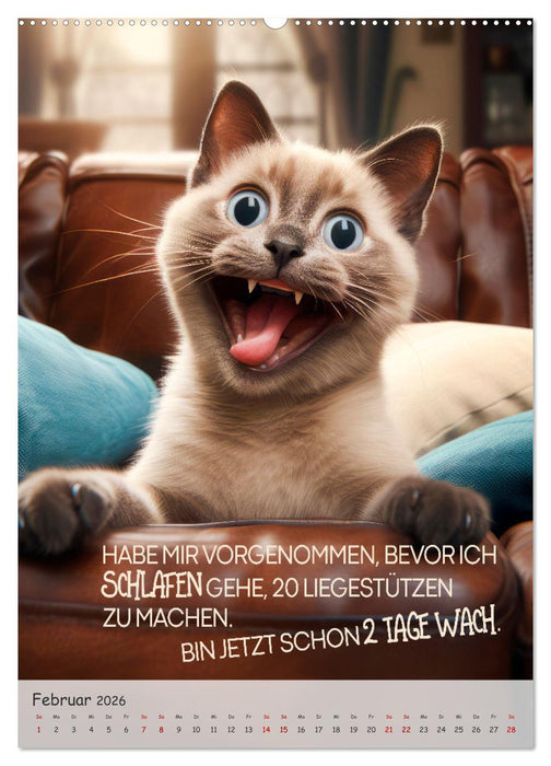 COOLE KATZEN Sprücheklopfer (CALVENDO Premium Wandkalender 2026)