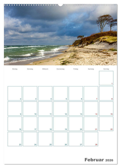 Ostseebad Prerow - Darßer Momente - Terminplaner (CALVENDO Wandkalender 2026)