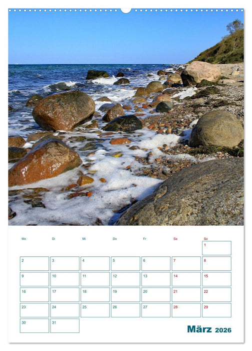 Ostseebad Rerik - Terminplaner (CALVENDO Premium Wandkalender 2026)