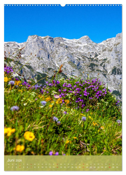 Ein Herz für Werfenweng (CALVENDO Premium Wandkalender 2026)