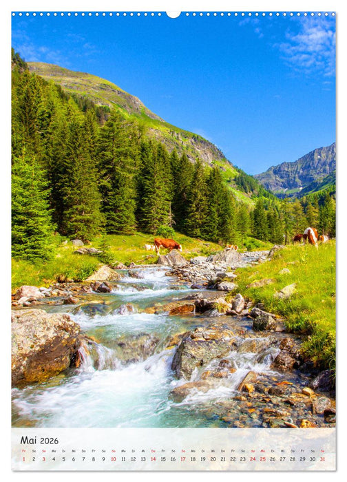 Der sonnige Lungau (CALVENDO Wandkalender 2026)