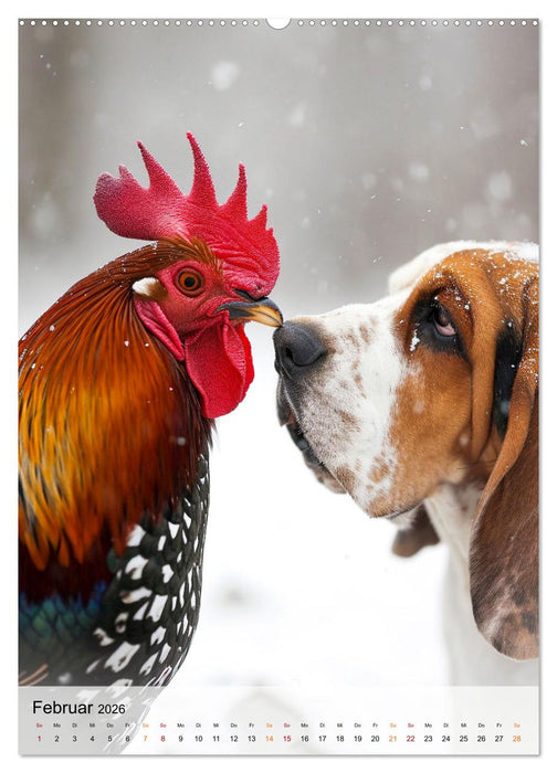 Basset Hound - freundlich und anhänglich (CALVENDO Wandkalender 2026)