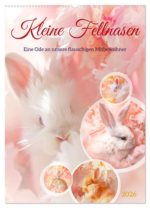 Kleine Fellnasen (CALVENDO Wandkalender 2026)