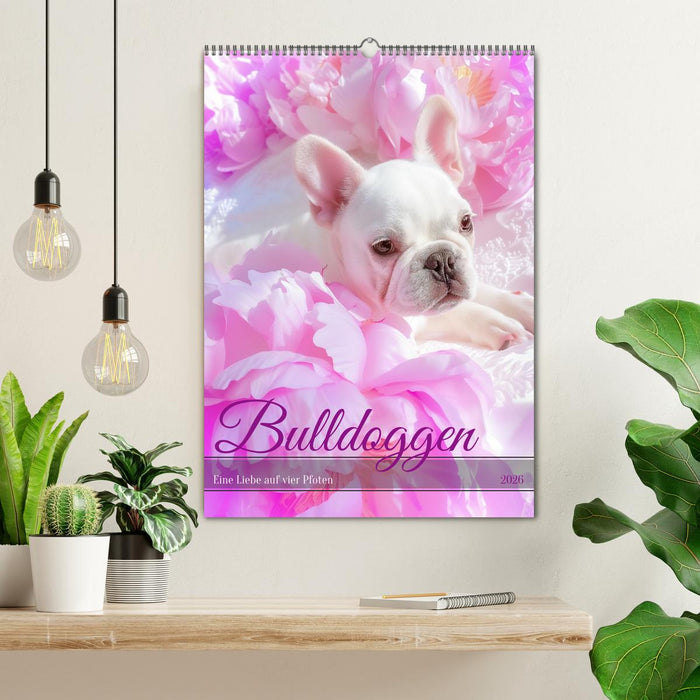Bulldoggen (CALVENDO Wandkalender 2026)