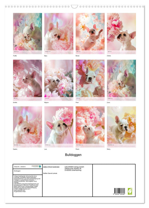 Bulldoggen (CALVENDO Wandkalender 2026)