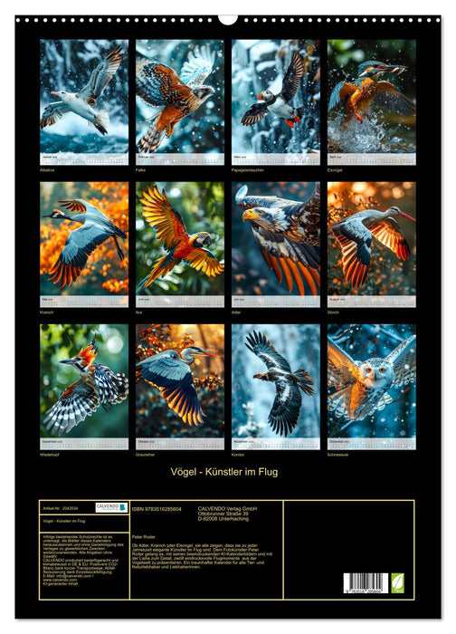 Vögel - Künstler im Flug (CALVENDO Wandkalender 2026)