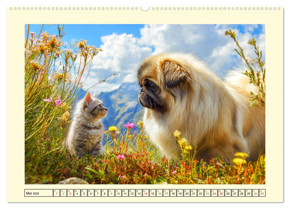 Zauberhafte Pekinesen. Charmante und stolze Hunde zum Verlieben (CALVENDO Wandkalender 2026)