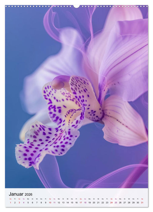 Farbexplosion in Blütenform (CALVENDO Premium Wandkalender 2026)