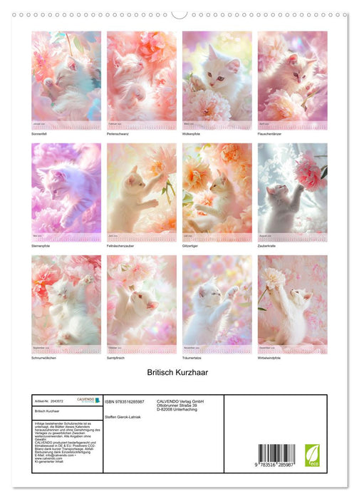 Britisch Kurzhaar (CALVENDO Premium Wandkalender 2026)
