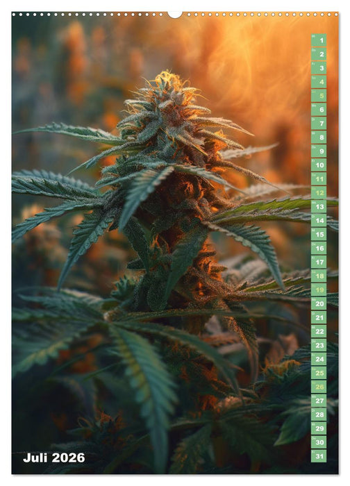 Rauschende Aussichten - Der ultimative Cannabis-Kalender (CALVENDO Premium Wandkalender 2026)