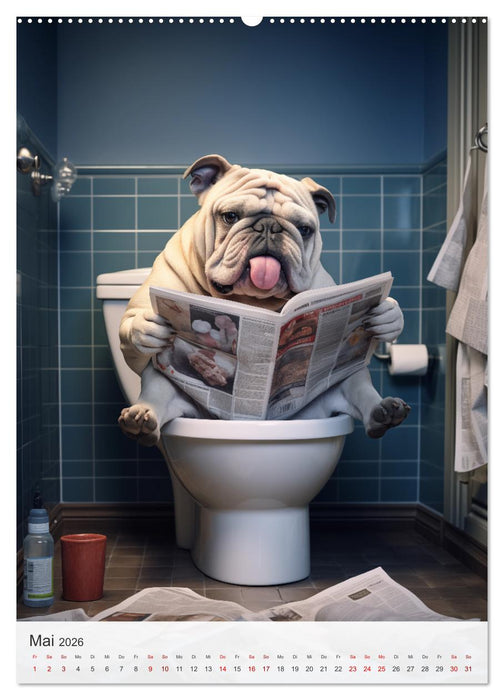 Stilles Örtchen (CALVENDO Premium Wandkalender 2026)