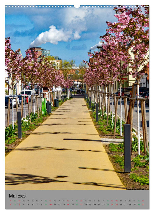 Wismar - Stadtspaziergang (CALVENDO Premium Wandkalender 2026)