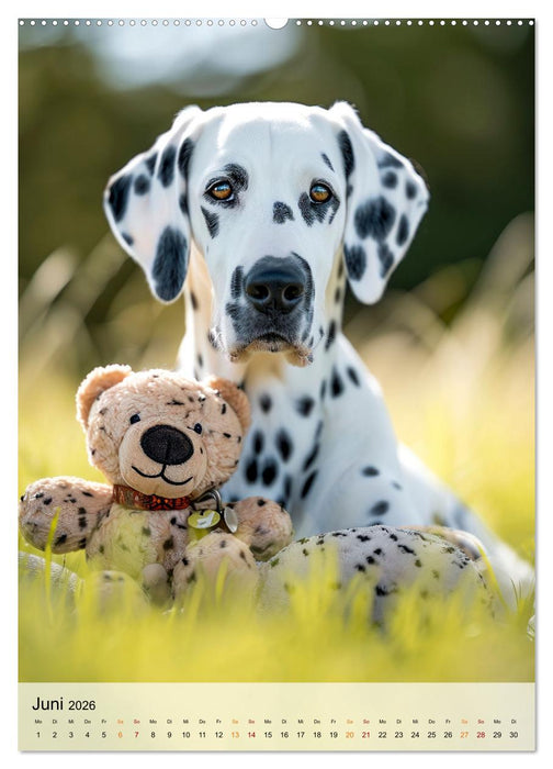 Dalmatiner - freundlich und temperamentvoll (CALVENDO Wandkalender 2026)