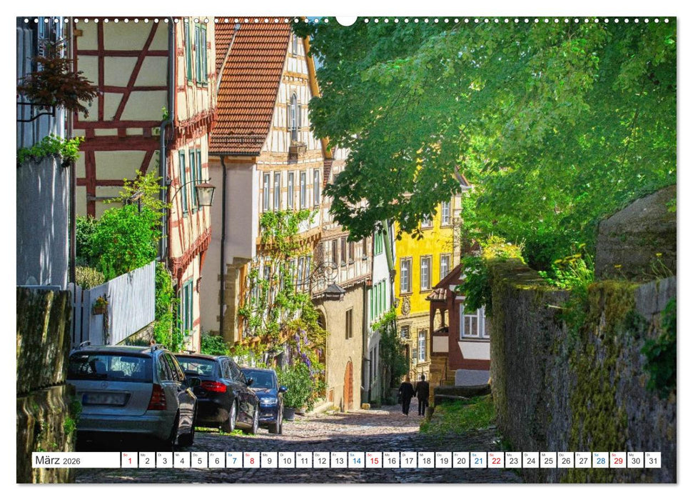Bad Wimpfen - Kurstadt am Neckar (CALVENDO Premium Wandkalender 2026)