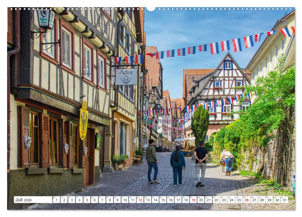 Bad Wimpfen - Kurstadt am Neckar (CALVENDO Premium Wandkalender 2026)