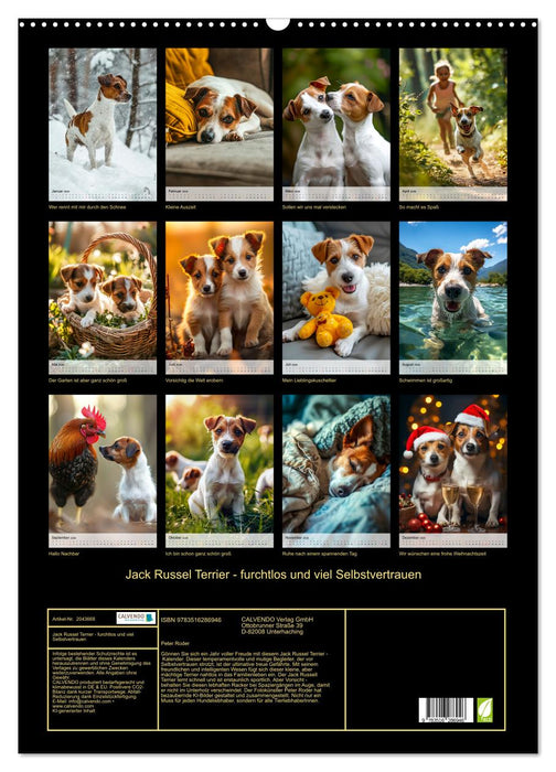 Jack Russel Terrier - furchtlos und viel Selbstvertrauen (CALVENDO Wandkalender 2026)