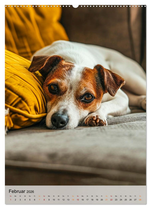 Jack Russel Terrier - furchtlos und viel Selbstvertrauen (CALVENDO Wandkalender 2026)