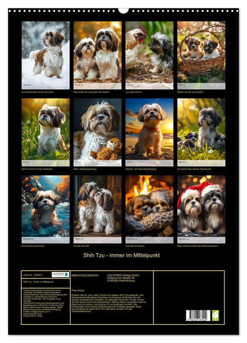 Shih Tzu - immer im Mittelpunkt (CALVENDO Wandkalender 2026)
