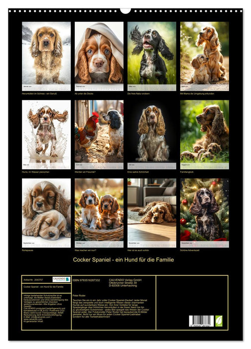 Cocker Spaniel - ein Hund für die Familie (CALVENDO Wandkalender 2026)