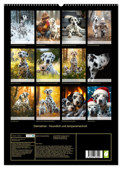 Dalmatiner - freundlich und temperamentvoll (CALVENDO Premium Wandkalender 2026)