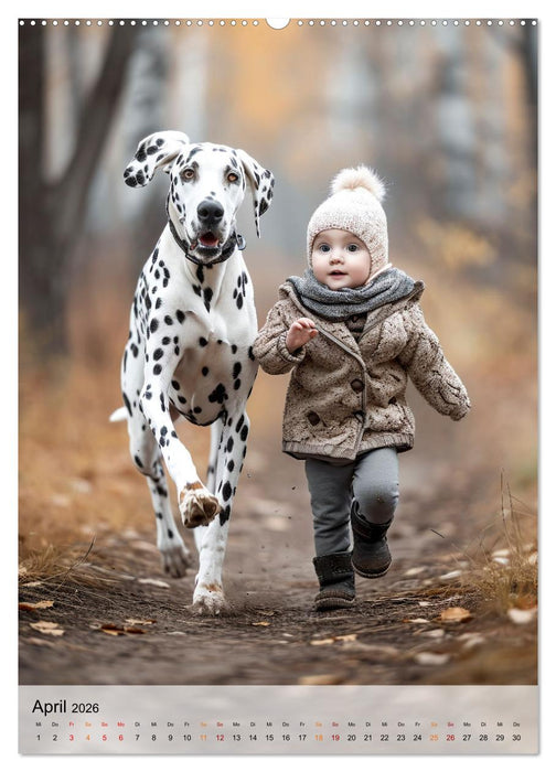 Dalmatiner - freundlich und temperamentvoll (CALVENDO Premium Wandkalender 2026)