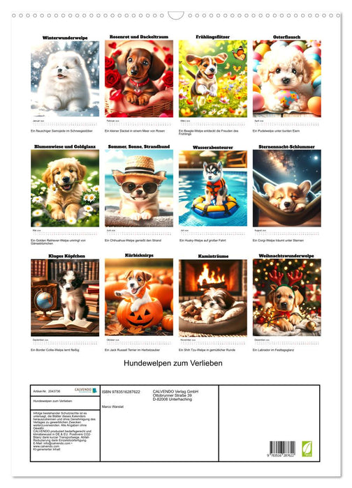 Hundewelpen zum Verlieben (CALVENDO Wandkalender 2026)