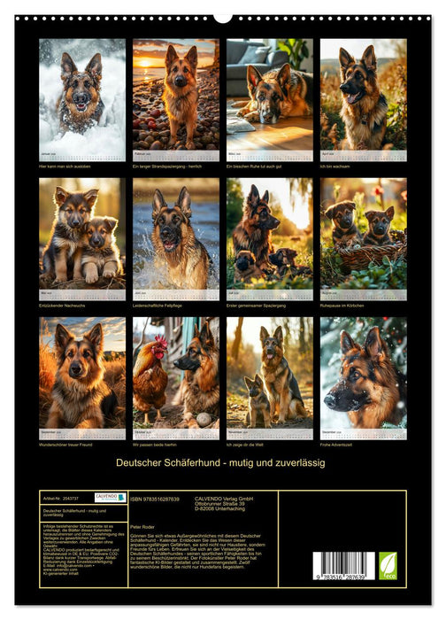 Deutscher Schäferhund - mutig und zuverlässig (CALVENDO Premium Wandkalender 2026)