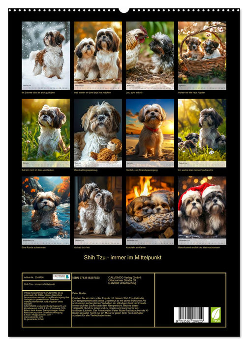 Shih Tzu - immer im Mittelpunkt (CALVENDO Premium Wandkalender 2026)
