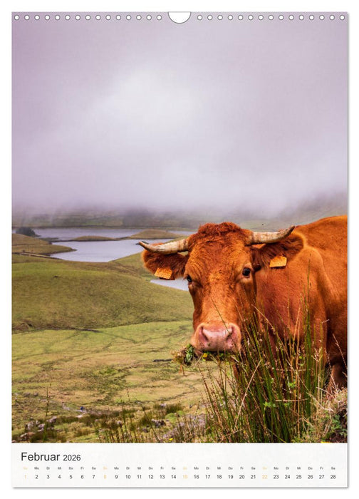 Azoren: Wundervolle Landschaften (CALVENDO Wandkalender 2026)