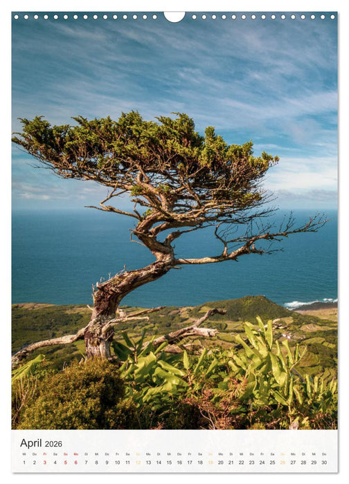 Azoren: Wundervolle Landschaften (CALVENDO Wandkalender 2026)