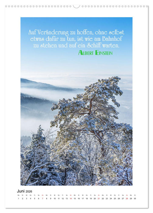 Interessante Zitate (CALVENDO Premium Wandkalender 2026)