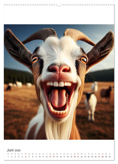 Tierischer Frohsinn - Ein Jahr voller Lächeln und Lebensfreude (CALVENDO Wandkalender 2026)