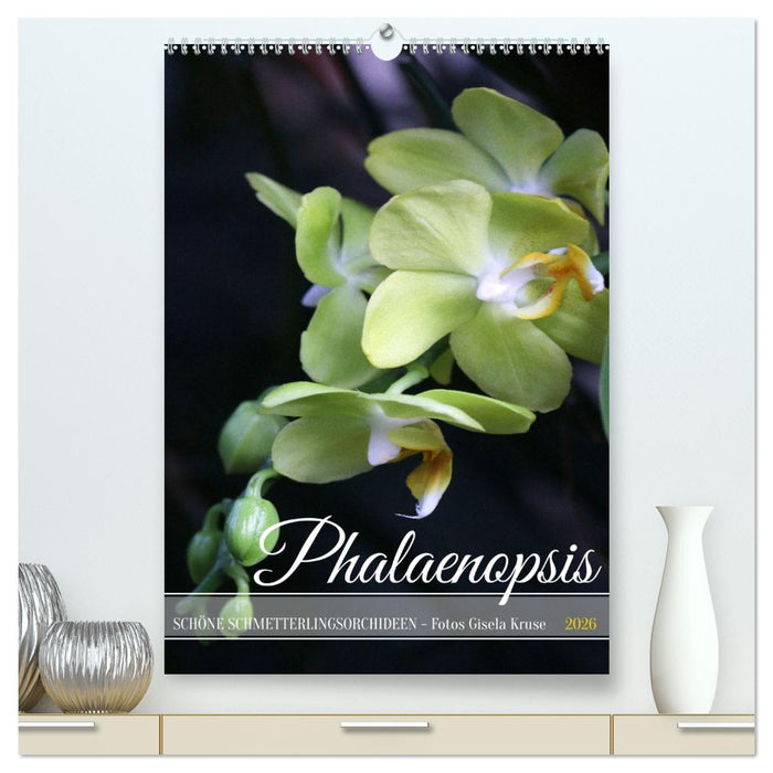 Phalaenopsis - Schöne Schmetterlingsorchideen (CALVENDO Premium Wandkalender 2026)